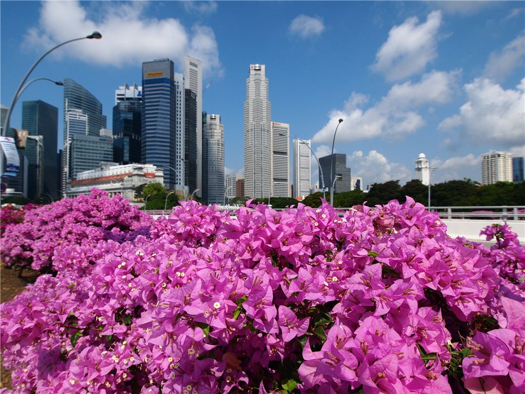 f0224100_8524830.jpg