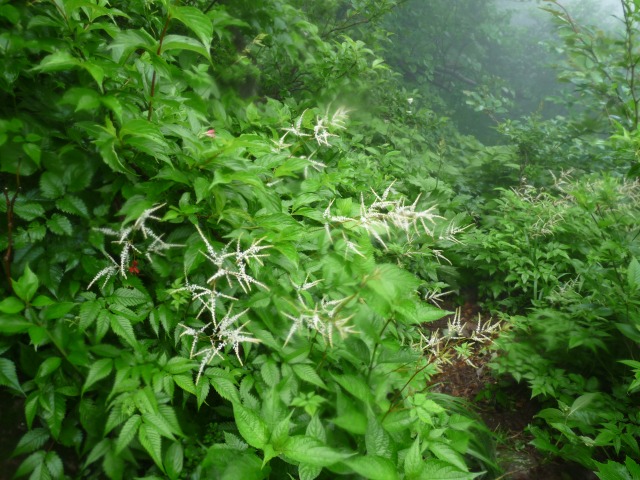 b0025101_23483230.jpg