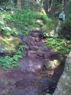 c0112103_143186.jpg