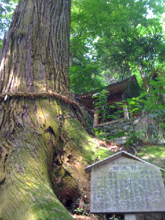 c0112103_14341411.jpg