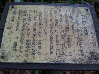 c0112103_1435867.jpg