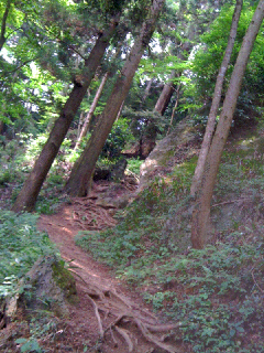 c0112103_14471597.jpg