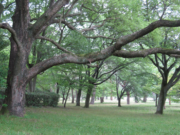 a0201204_1411425.jpg