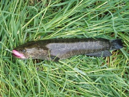 c0023804_1643312.jpg
