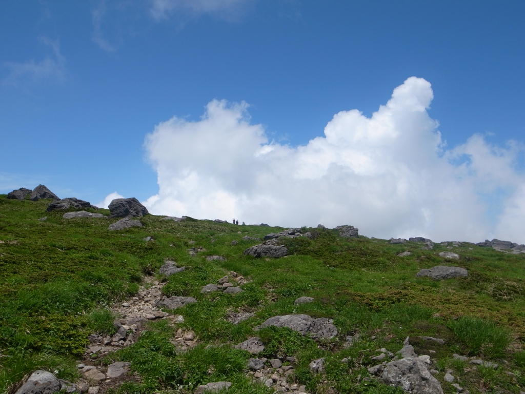 b0050305_10433230.jpg