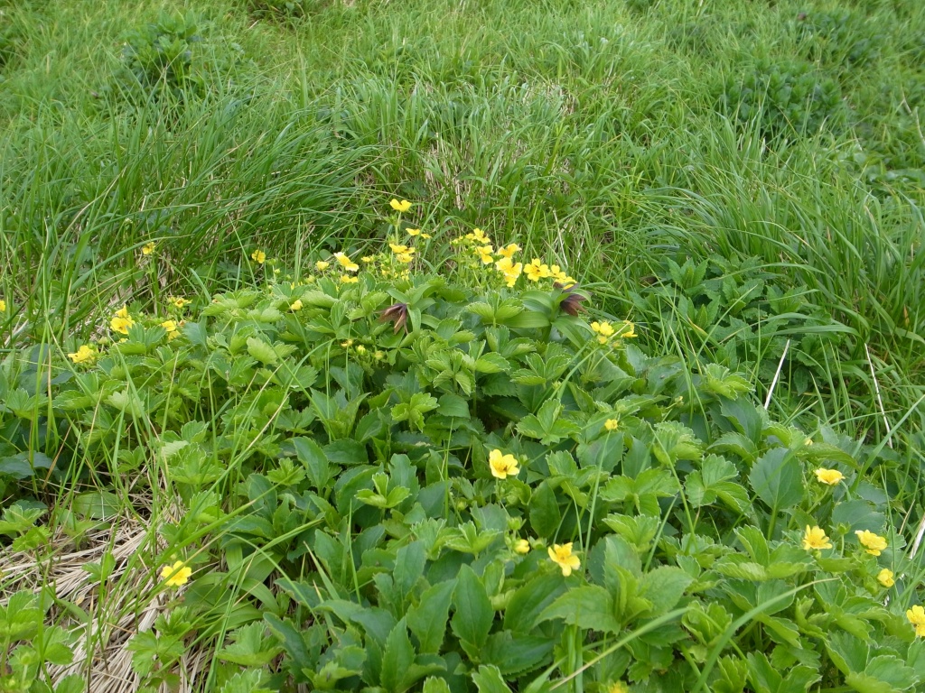b0050305_1111173.jpg