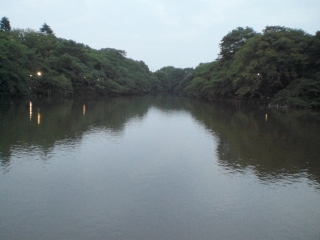 d0131207_21555159.jpg