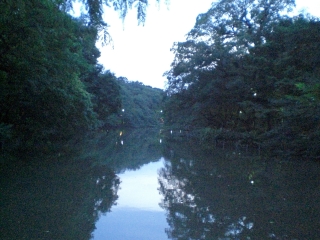d0131207_21555540.jpg