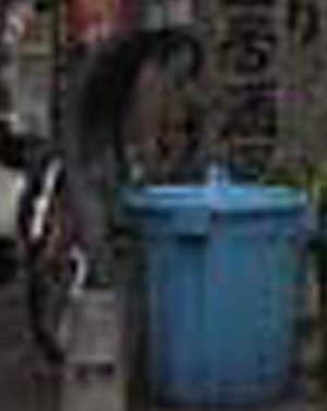 e0103408_1582986.jpg
