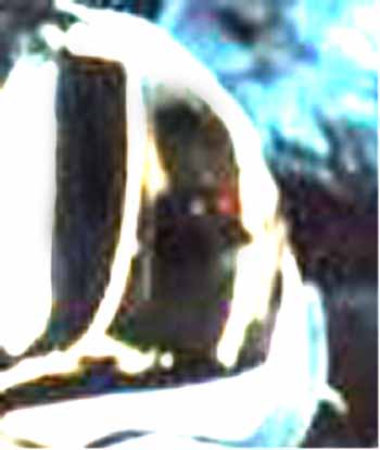 e0103408_23243211.jpg