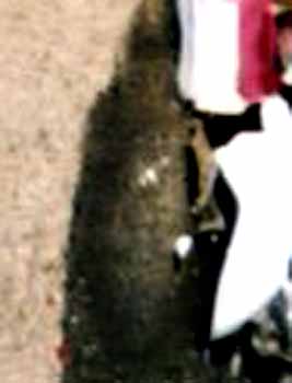 e0103408_23245946.jpg