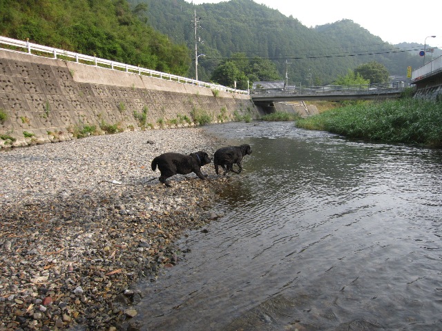 d0081210_15113991.jpg