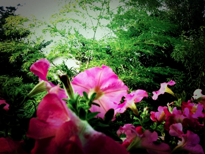 c0026612_7555965.jpg