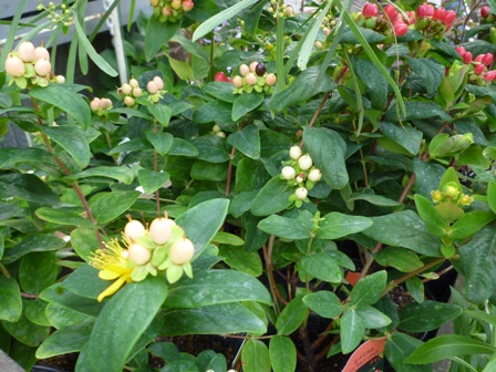 c0167112_207382.jpg