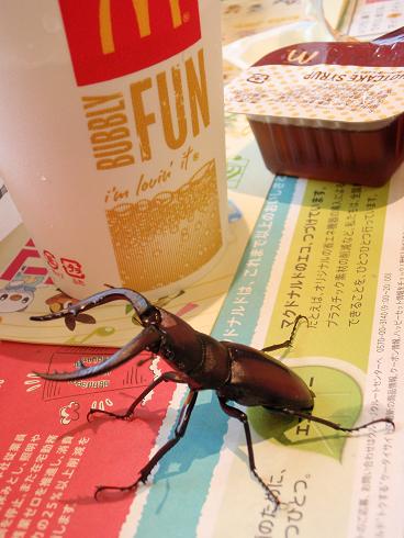 c0149214_18571741.jpg