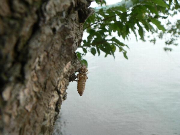 e0002314_22391736.jpg