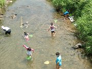 f0191517_1727885.jpg