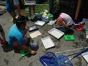f0191517_17483275.jpg