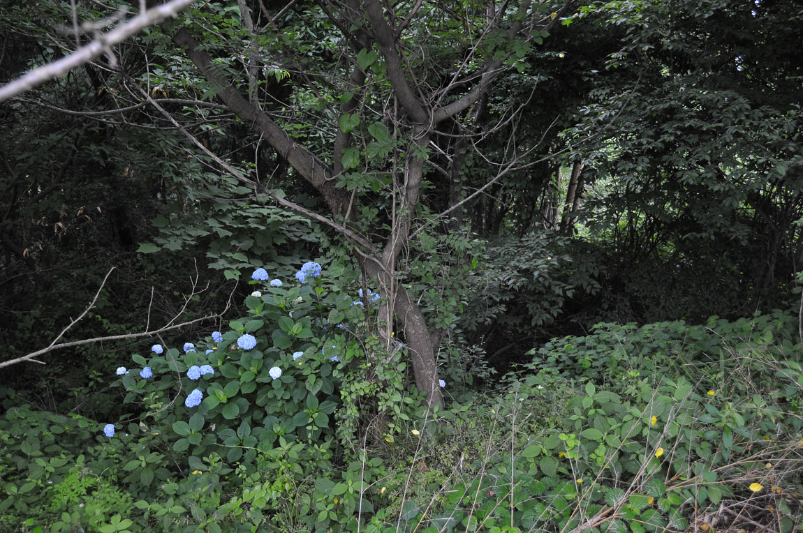 f0206417_1825441.jpg