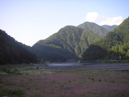 d0168318_8312778.jpg