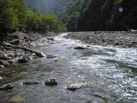 d0168318_8471923.jpg