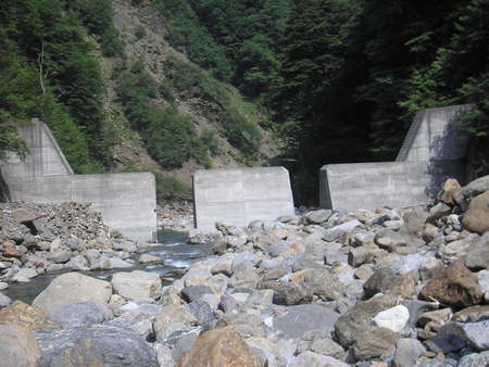 d0168318_8542457.jpg