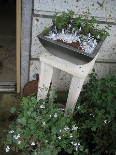 e0170519_23371191.jpg