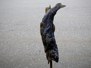 e0091220_17163680.jpg