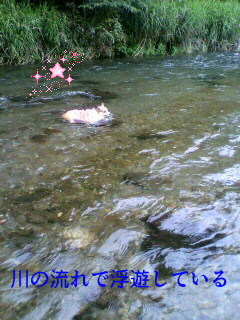 f0182121_15272723.jpg