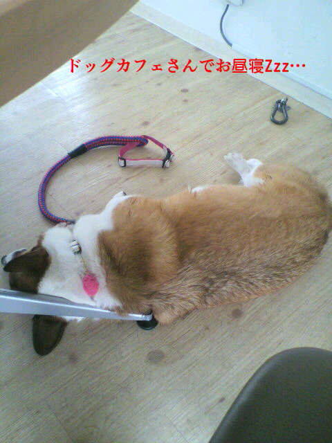 f0182121_15272786.jpg