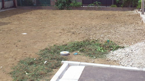 b0001324_23215095.jpg