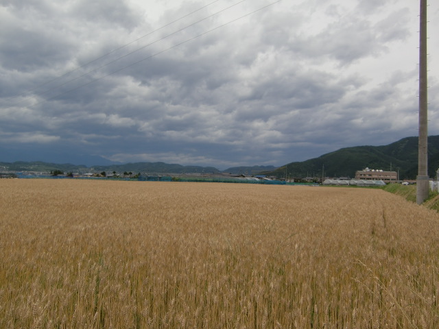 e0234924_13481676.jpg