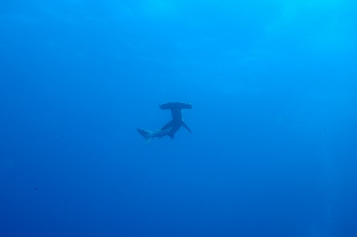 f0206424_9404248.jpg