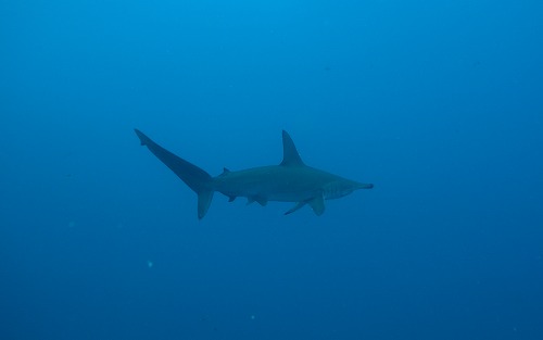 f0206424_941182.jpg