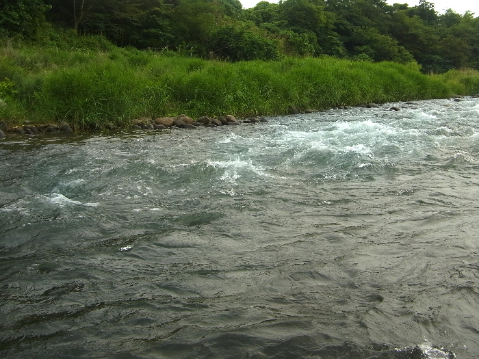 f0103126_2135358.jpg