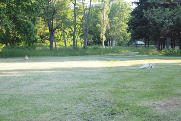 f0227228_0485556.jpg