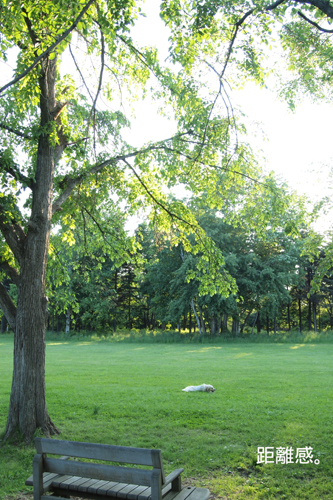 f0227228_10219.jpg