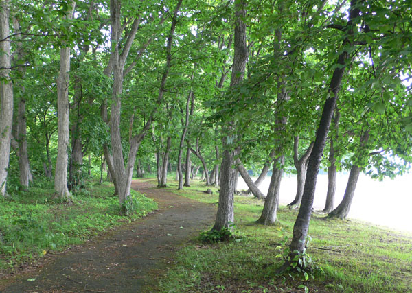 a0046429_22133415.jpg