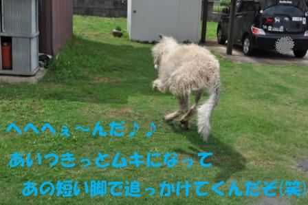 f0176830_1840199.jpg