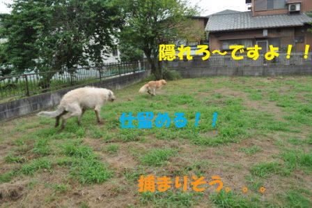 f0176830_18554138.jpg