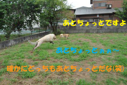f0176830_1856631.jpg