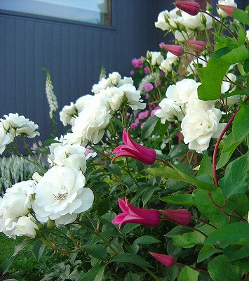 f0205733_0321968.jpg