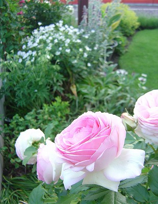 f0205733_0421486.jpg