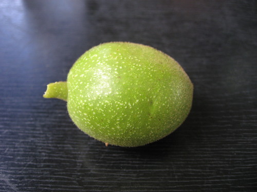b0138734_2051169.jpg