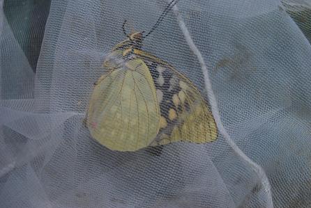 f0000148_7174871.jpg