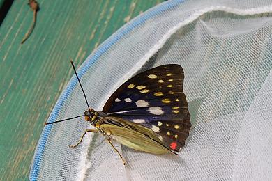 f0000148_79304.jpg