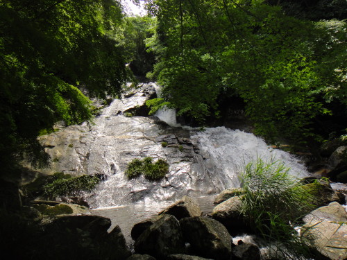 c0179351_1922940.jpg