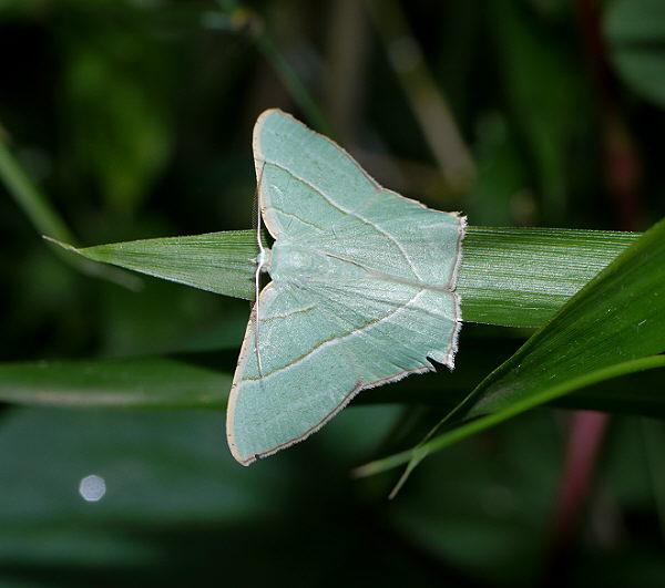 d0091754_0273279.jpg