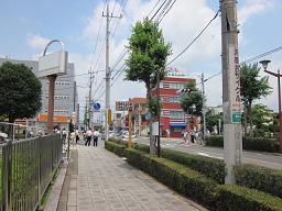 a0120264_935524.jpg