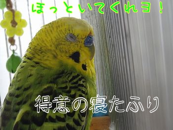 f0196665_0134697.jpg